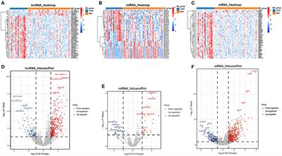 The LINC00452/miR-204/CHST4 Axis Regulating Thymic Tregs Might Be Involved in the Progression of Thymoma-Associated Myasthenia Gravis